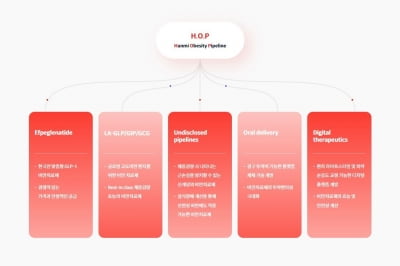 국산 GLP-1 순항…한미약품, 신청 3개월 만에 3상 IND 승인