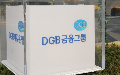 차기 회장 뽑는 DGB금융…후보자 추천 외부전문기관 선정