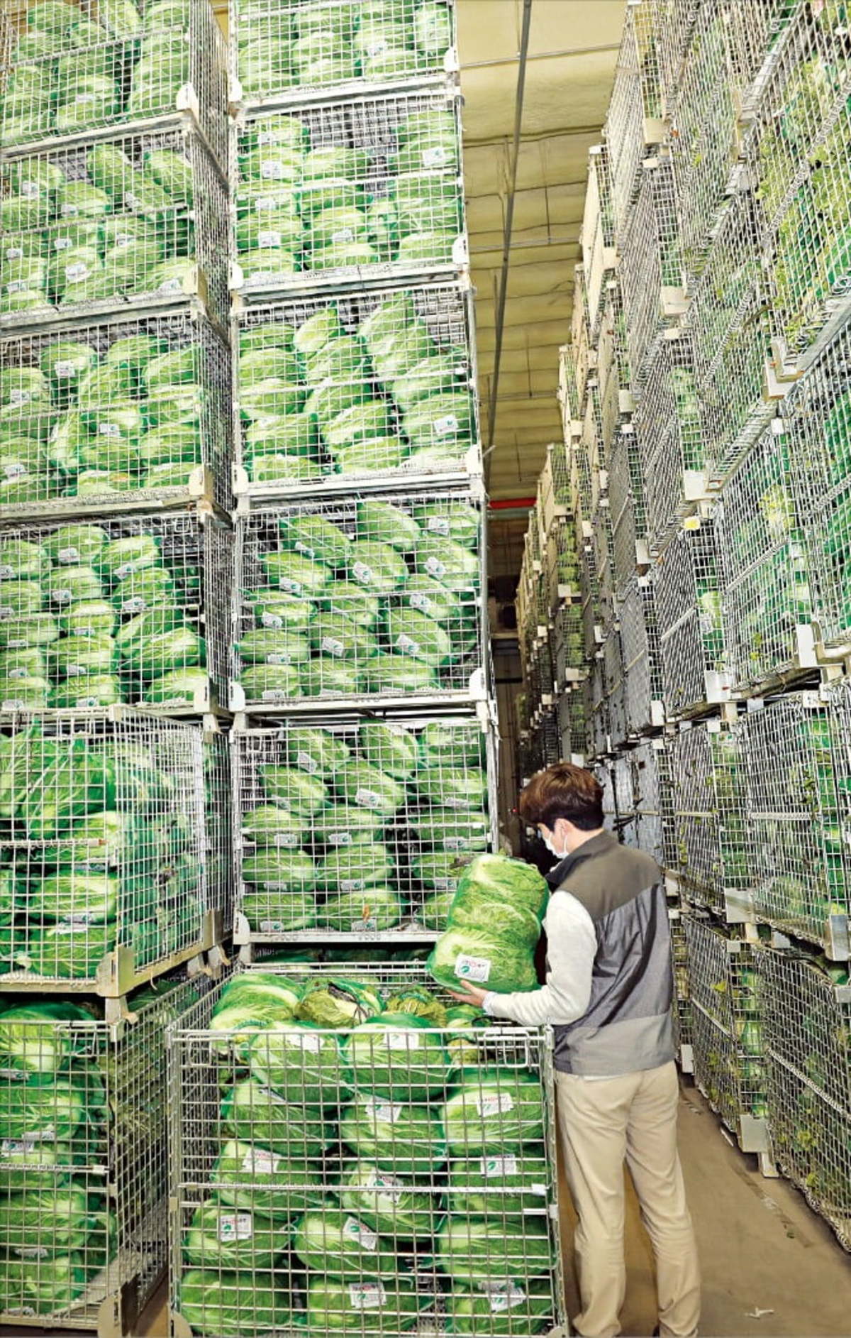 E-Mart's Record-Breaking Sales of Pickled Cabbage Amid Rising Kimchi ...