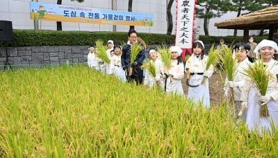 [포토] 농협중앙회, ‘어린이 농부들과 전통 가을걷이’