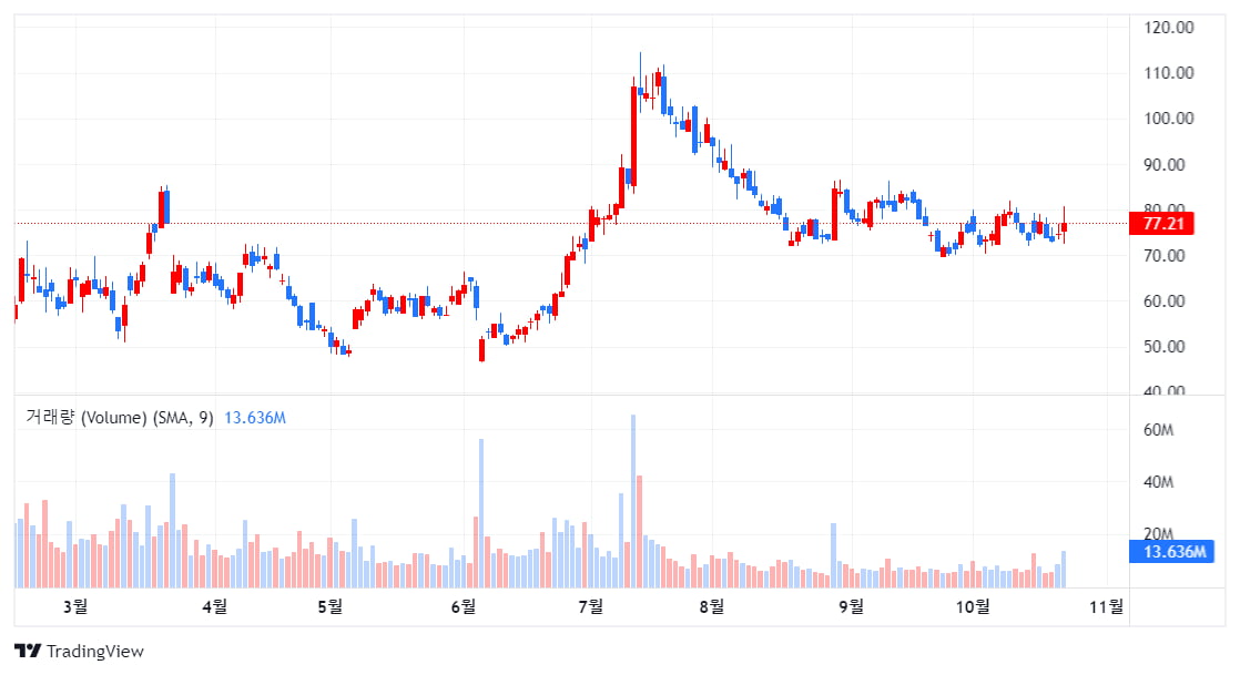 암호화폐 ETF 승인 기대에 비트코인 1년 반 만에 최고치