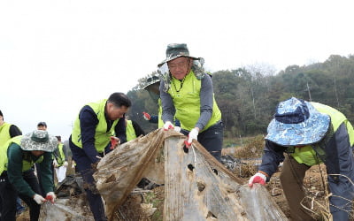 NH투자증권, '함께하는 마을 만들기' 일환 농촌 일손돕기 실시