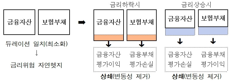 '카지노 입플 배당쇼크' 막는다…금리변화로 생긴 미실현손익 소멸