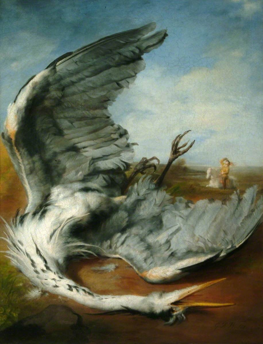상처입은 왜가리 (1837). 왓츠는 어린 시절 참새를 기르다가 실수로 새장 문을 잘못 닫아 새를 죽음에 이르게 한 적이 있었다. 섬세한 성격의 그는 이 사건에 깊은 충격을 받았고, 이후 새와 깃털을 모티브로 한 작품을 자주 그렸다. /와츠갤러리