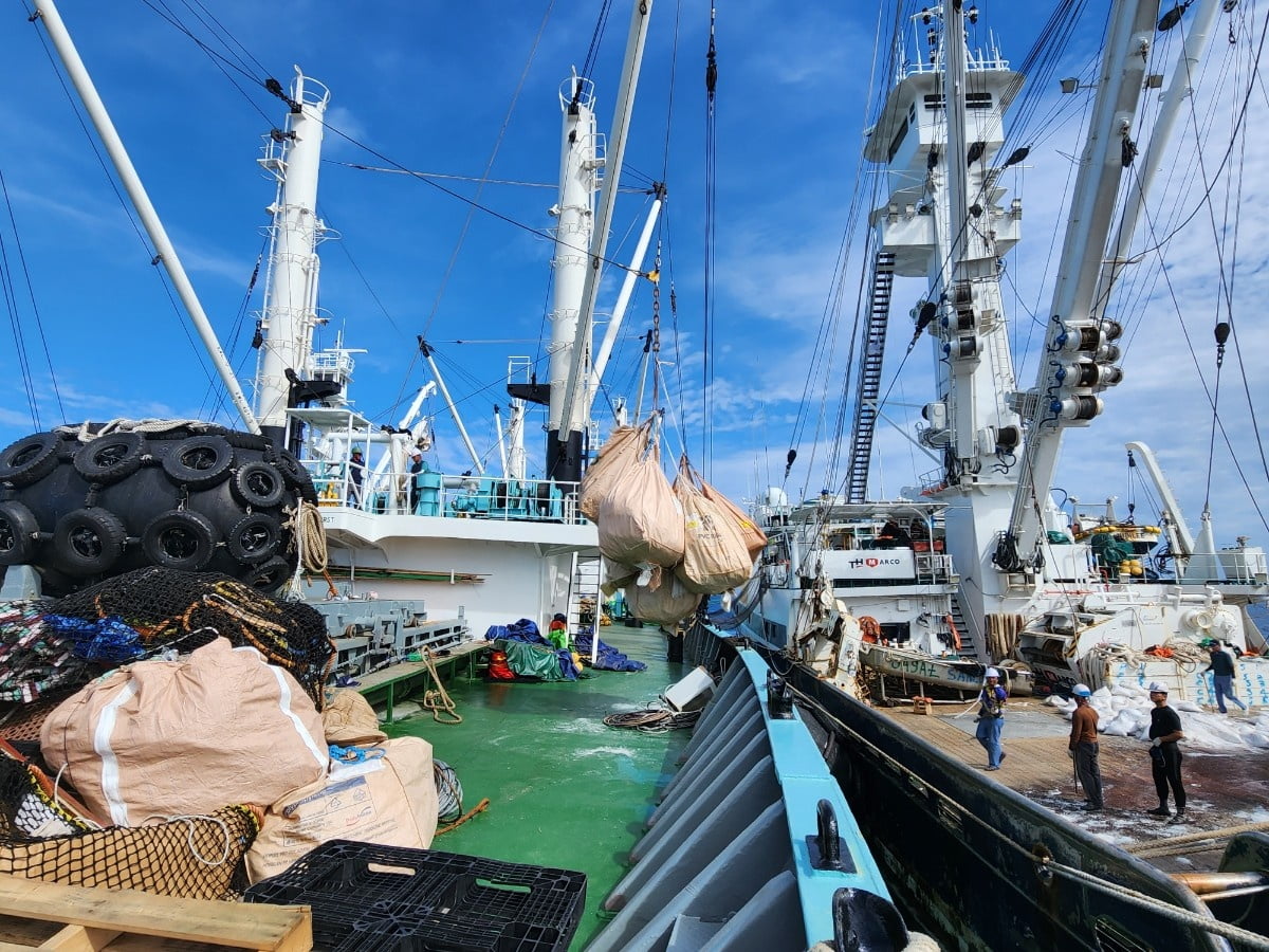 동원산업 직원들이 참치잡이 조업선에서 분리수거한 해양쓰레기를 육지로 옮겨 처리하기 위해 운반선에 싣고 있다. /동원산업 제공