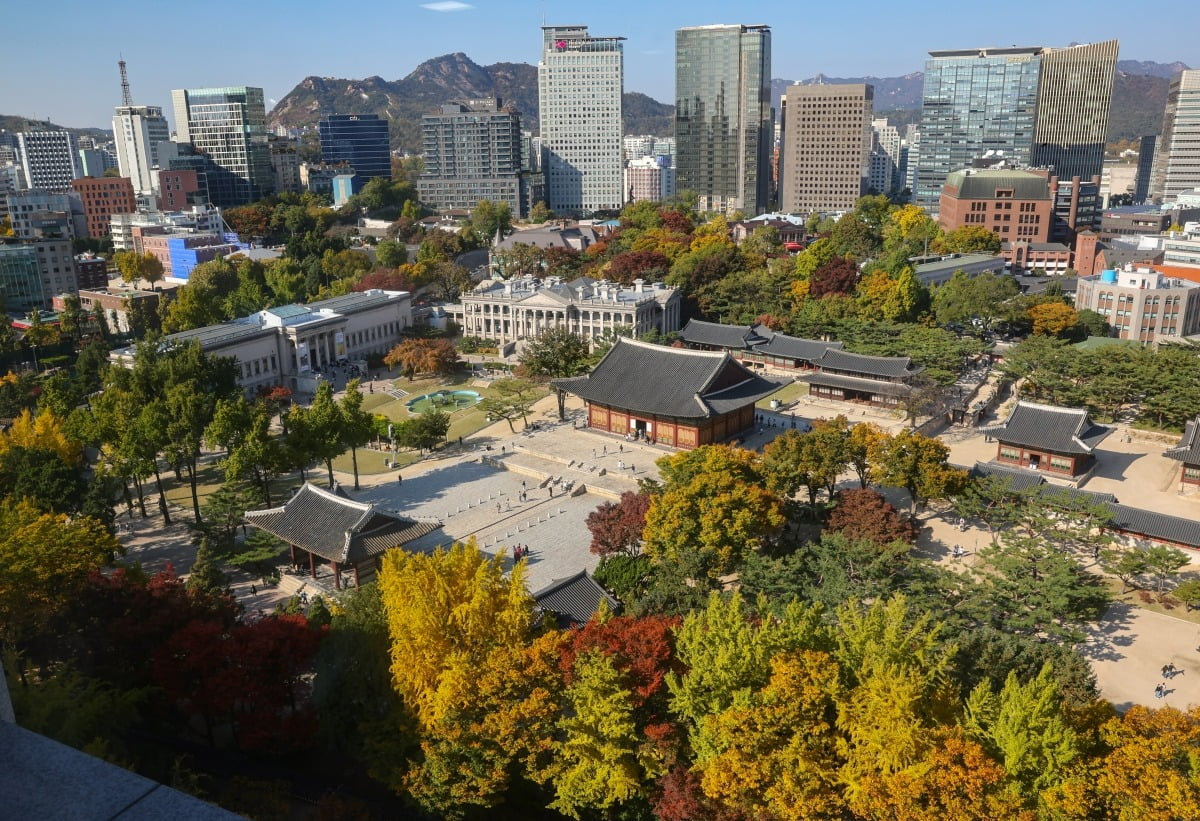 완연한 가을날씨를 보인 29일 서울 정동 덕수궁에 단풍이 피어 있다./사진=최혁 기자