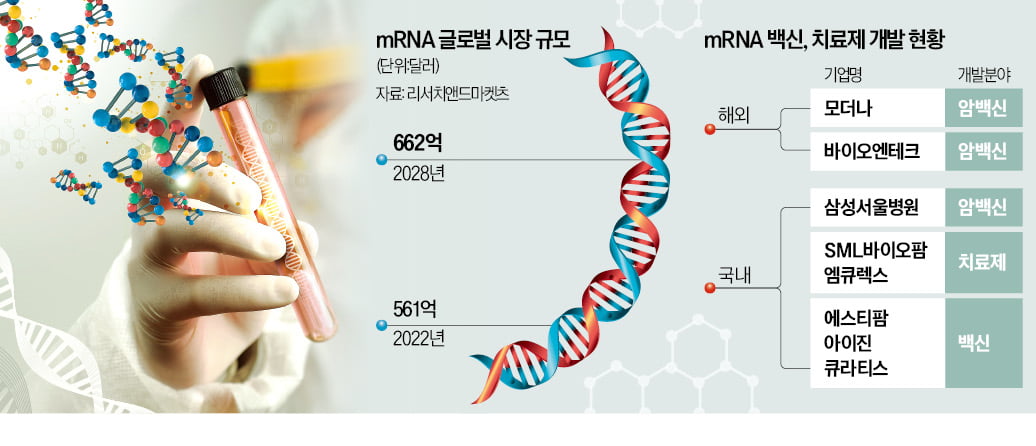 "mRNA로 암 정복"…K바이오도 '열공 중'