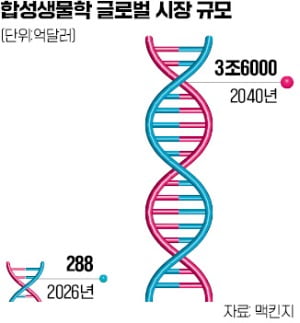 美선 펜타곤이 '카지노사이트추천' 육성…韓 걸음마 수준