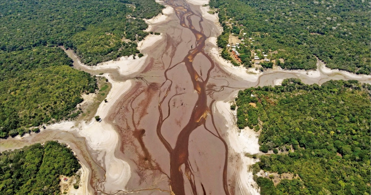 [포토] 극심한 가뭄에 바닥 드러낸 아마존 강 