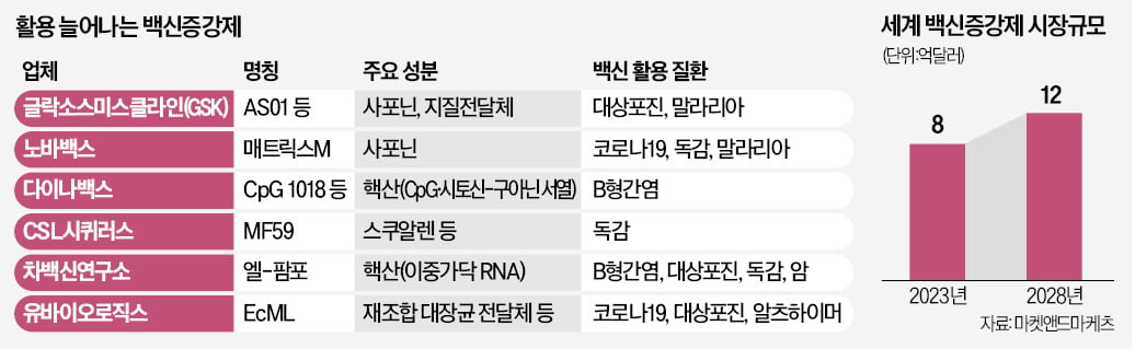 죽어가던 백신 살린 '명품조연' 면역증강제