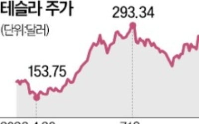 테슬라, 중국산車 판매 11% 감소…또 가격 낮춰 실적 만회 안간힘