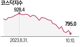 800선 무너진 코스닥…80만원 깨진 에코프로