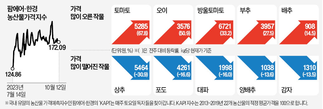 김장철 앞두고 배추·고춧가루값 오름세…걱정 커지는 주부들