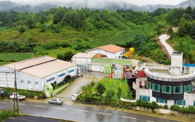 '한국의 술'로 승부…3년 만에 수출 5배 늘린 한국애플리즈