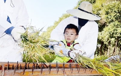 [포토] 벼 이삭이 ‘우수수’…신기한 전통 탈곡기 카지노 꽁머니 즉시지급