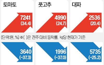 갑작스런 추위에…풋고추·토마토값 '껑충'