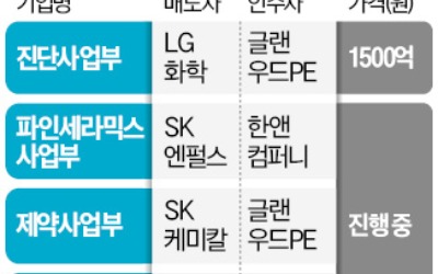 현금 확보 나선 대기업…'카브아웃 M&A' 바람