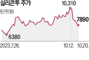 실리콘투 "화장품업계 쿠팡 될 것"