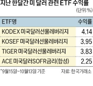 돈 몰리는 '달러 ETF'…계속 웃을 수 있을까