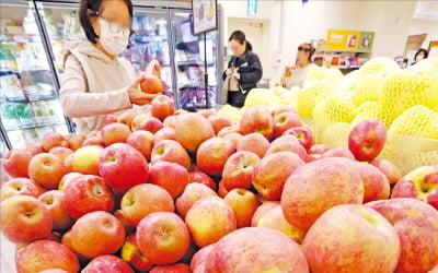 수입장벽 30년…한국 사과, 세계서 가장 비싸졌다