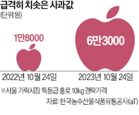 수입장벽 30년…한국 사과, 세계서 가장 비싸졌다