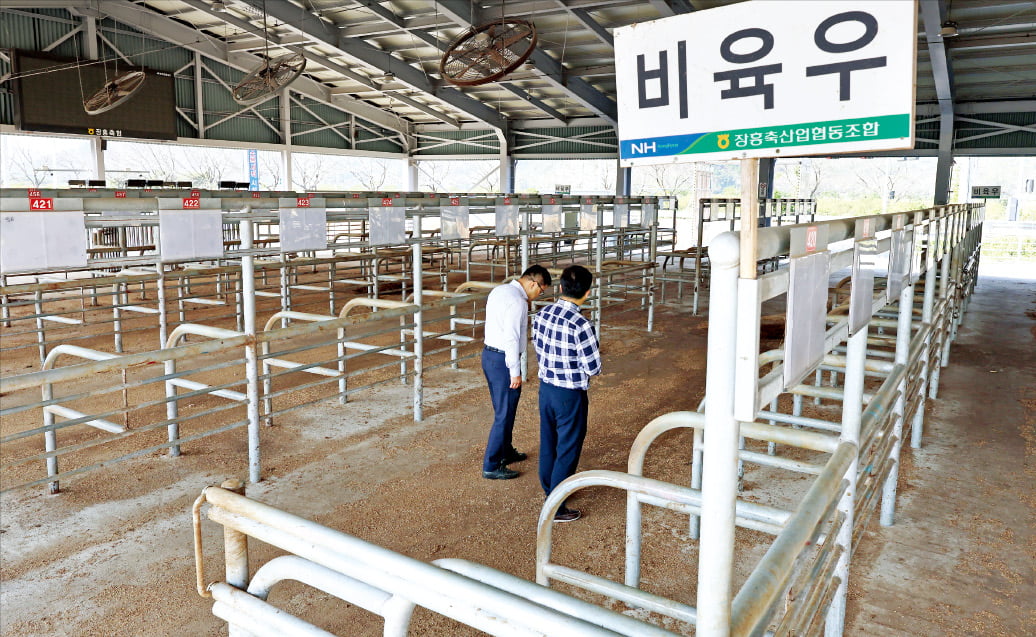 [포토] 럼피스킨병 확산에 문 닫은 가축시장