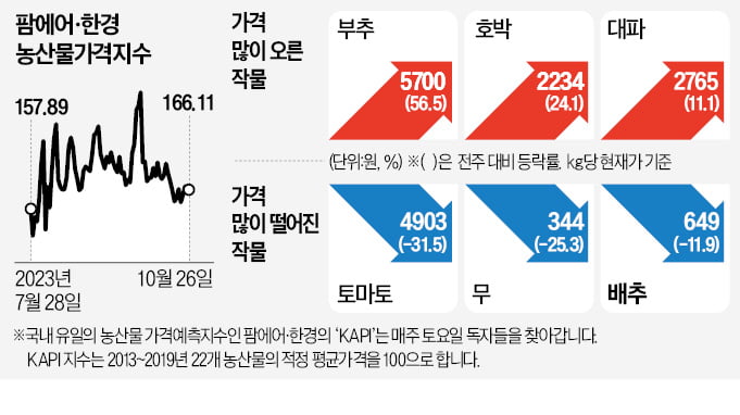 정부 비축물량 풀었지만…배추값, 평년대비 여전히 비싸