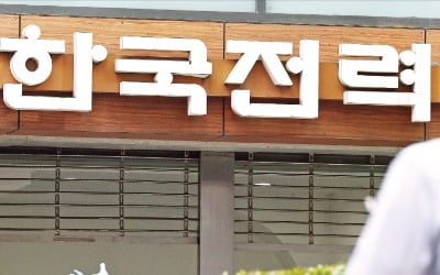 文정부 과도한 증원에 경영난까지…한전, 채용 반토막