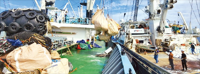 동원산업 직원들이 참치조업선에서 분리 배출한 해양 쓰레기를 육지로 옮겨 처리하기 위해 운반선에 싣고 있다.  동원산업 제공 