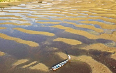 [포토] 브라질 최악 가뭄…메마른 아마존강 