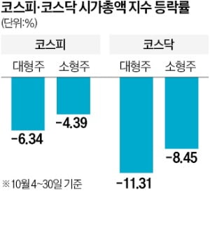 10월 조정장, 중소형株가 더 잘 버텼다