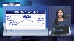 기대 못 미치는 실적…그래도 K반도체 픽한 이유 [마켓플러스]