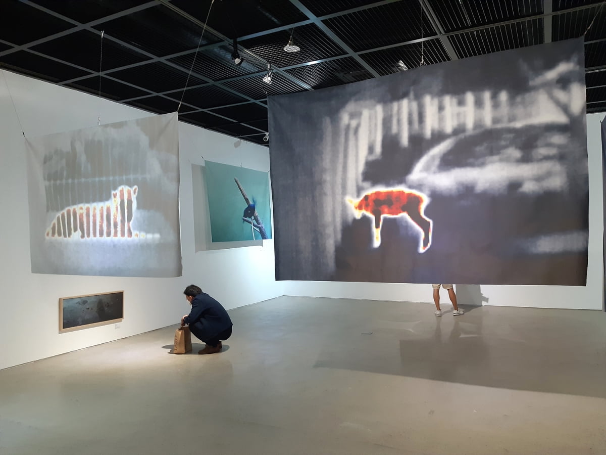청주시립미술관 오창전시관, 비두리 개인전 ‘동물원(2009~2023)’ 열어
