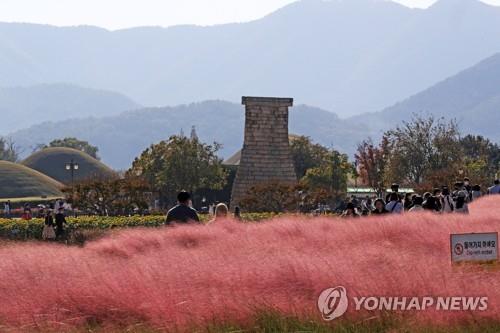 [#핫플콕콕] 천년의 유적과 새로운 카페가 어우러진 경주