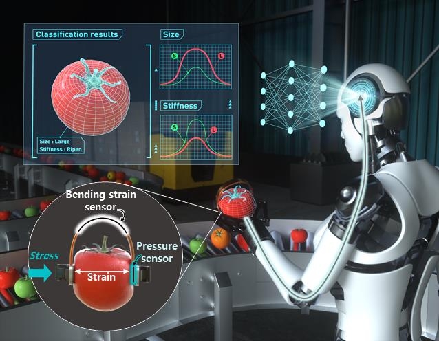 지능형 로봇이 토마토 크기·신선도·촉감 판단한다