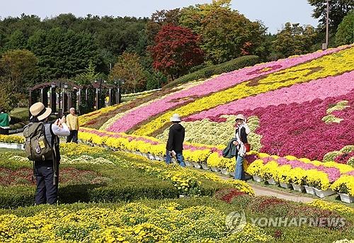 "연휴는 치즈의 고장에서"…제9회 임실N치즈축제 팡파르