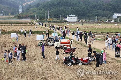 '완연한 가을 만끽하자'…전국 관광지·유원지·산 '들썩'