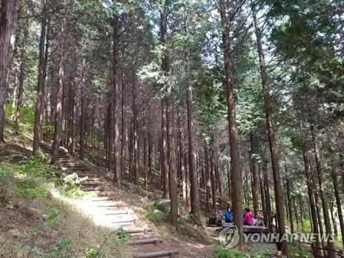 쉬엄쉬엄 걷기 좋은 가을, 경남에서 걷기여행 해볼까