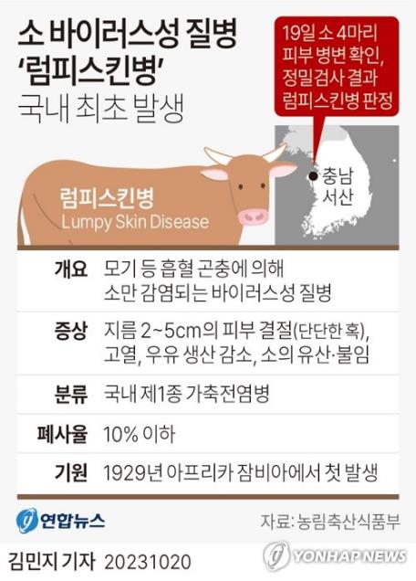 평택 젖소 농장서도 '럼피스킨병' 확진…국내 두 번째 발생(종합)