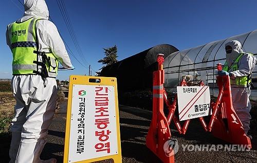 소 럼피스킨병 발생 경기도, 백신접종·차단방역 등 총력 대응