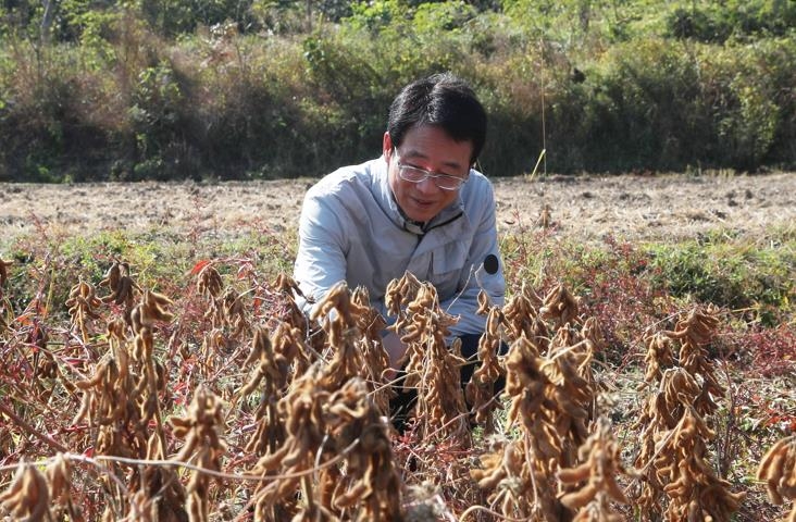 '벼 대체작목, 논콩이 대세'…강진군, ㏊당 최고 400만원 지원