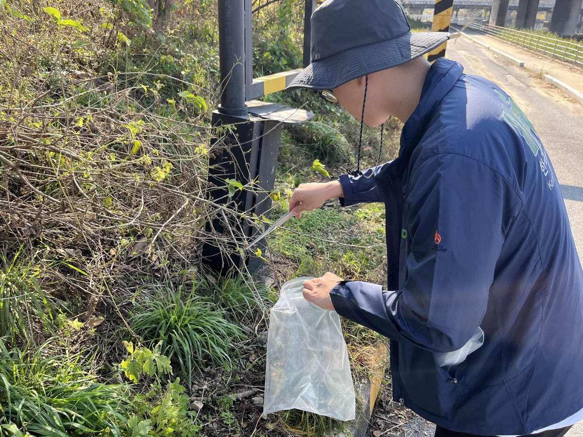 산림청 "기후변화로 산림병해충 피해 지속…적기 방제 당부"