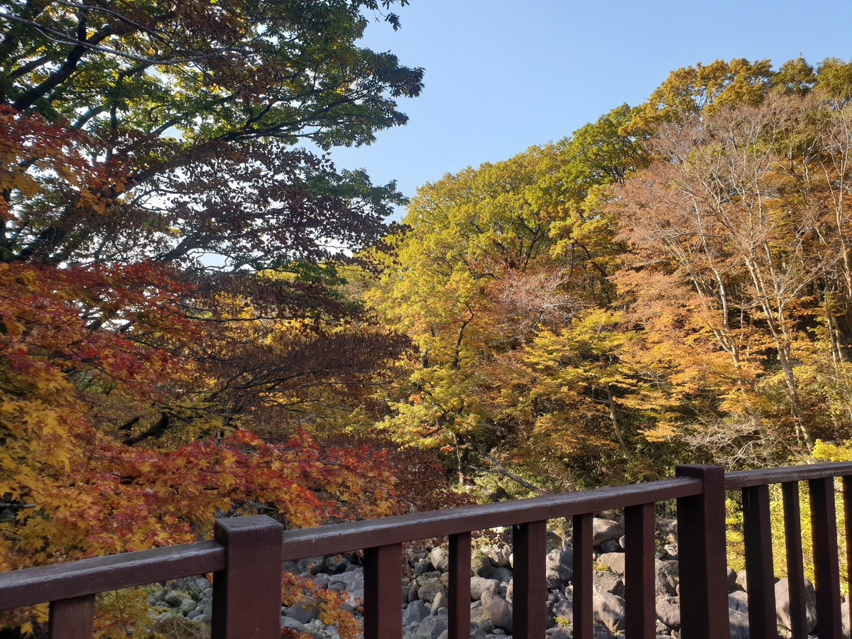 한라산 울긋불긋 단풍 절정…지난해보다 2일 늦어