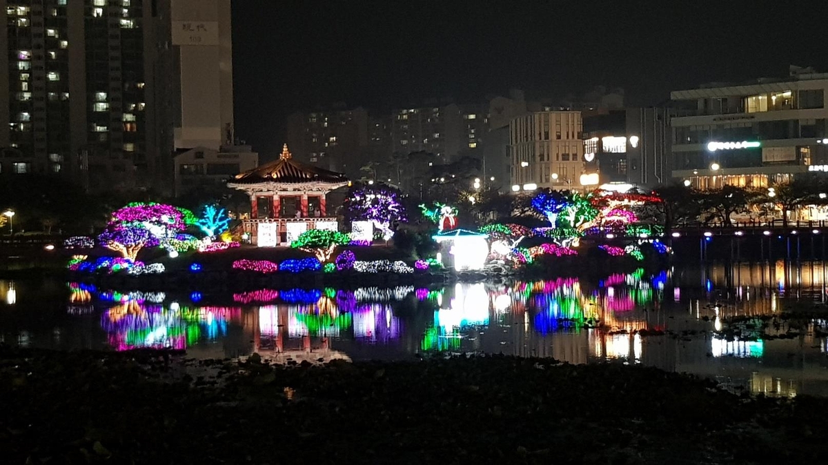 [픽! 서산] "중앙호수공원에 밤마다 밝은 단풍"…야간경관조명 점등