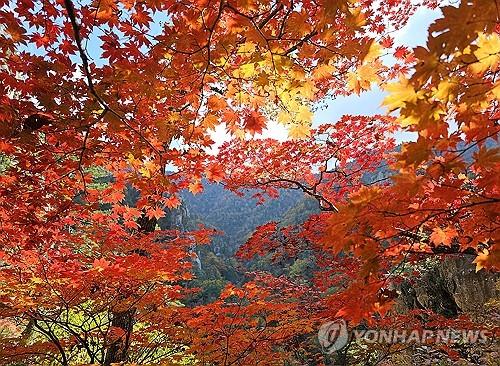 대전·세종·충남 대체로 맑음…낮 기온 20∼21도