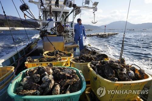 "수산물 수입금지에 日가리비 가공 中업자 동남아로 이전 검토"