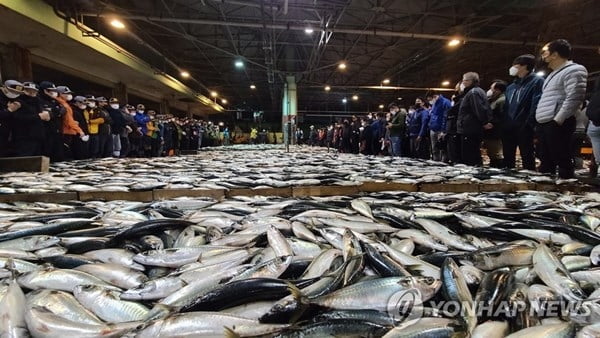 日 오염수 방류에도…수산물시장 '영향 無'