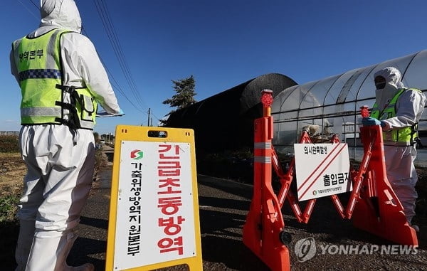 '럼피스킨병' 확진 사례 추가 확인…육계 관련주 강세