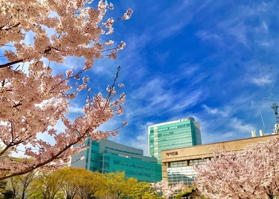 숭실대학교 글로벌미래교육원, 졸업 시 숭실대 총장 명의 학사학위 취득