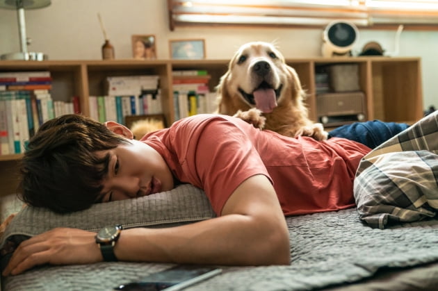 Genuine man Yoo Yeon-seok, golden retriever himself